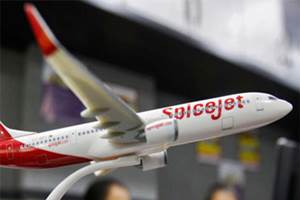 spicejet cargo and ancillary business