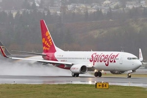 According to SpiceJet, domestic cargo is logging a 15-17 per cent year-on-year growth. According to SpiceJet, domestic cargo is logging a 15-17 per cent year-on-year growth.