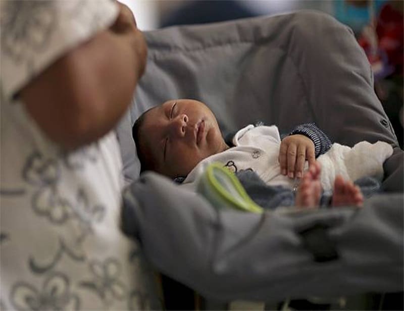 zika virus, zika virus symptoms, zika virus cure, zika virus information, zika virus photos, zika virus brazil, zika virus precaution, zika virus news, zika virus latest news, zika virus information, latest health news
