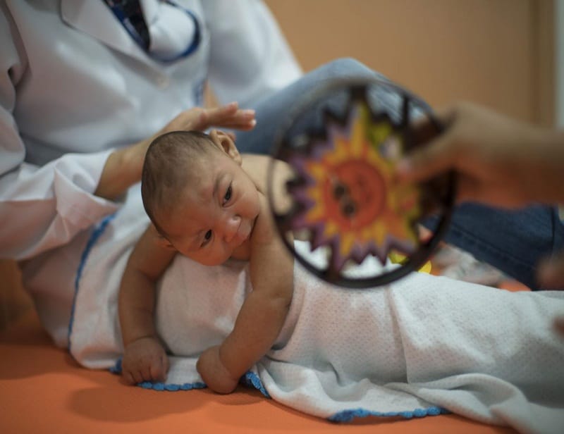 zika virus, zika virus symptoms, zika virus cure, zika virus information, zika virus photos, zika virus brazil, zika virus precaution, zika virus news, zika virus latest news, zika virus information, latest health news