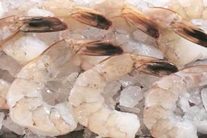 Shrimp production likely to be hit by higher costs & diseases
