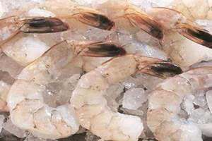 Shrimp production likely to be hit by higher costs & diseases Shrimp production likely to be hit by higher costs & diseases