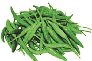 Saudi Arabia, the fifth largest importer of fresh vegetables from India, had banned the import of green chillies because of the presence of high pesticide residues.