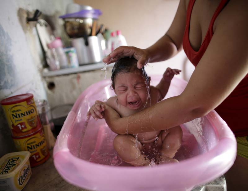 zika virus, zika virus news, zika virus vaccine, zika virus origin, zika virus symptoms, zika virus affected countries, zika virus in india, what is zika virus, zika outbreak, zika disease