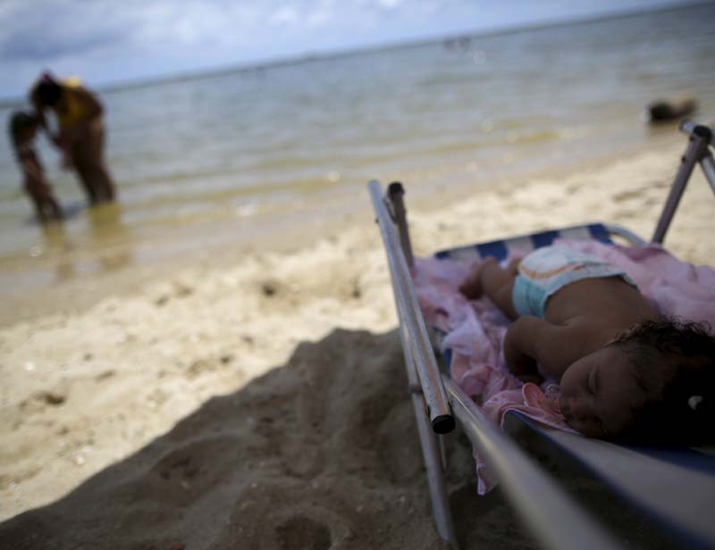 zika virus, zika virus news, zika virus vaccine, zika virus origin, zika virus symptoms, zika virus affected countries, zika virus in india, what is zika virus, zika outbreak, zika disease