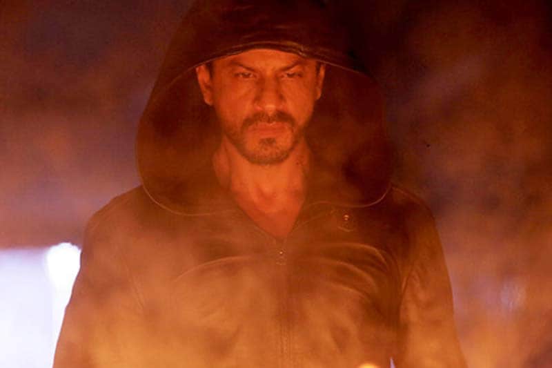 Dilwale, Dilwale box office, Dilwale collections, Dilwale box office collections, shahrukh khan, shahrukh khan dilwale, shahrukh khan movies