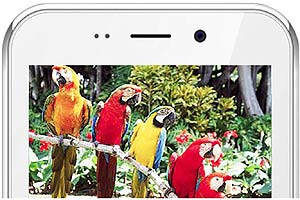 Freedom 251 mobile booking, ringing bells freedom 251, freedom 251 android smartphone, ringing bells smartphone launch today, freedom 251 smartphone booking, ringing bells 251 mobile, freedom 251 specifications, freedom 251 delivery time, freedom 251 cheapest mobile, world cheapest mobile freedom 251, freedom 251 COD, freedom 251 features, freedom 251 price in India, ringing bells india, freedom 251 smartphone specification, freedom 251 smartphone features, freedom 251 specs buy, 251 rs mobile, 251 rs mobile booking