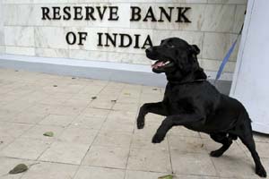 rbi