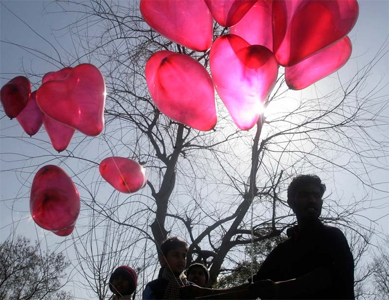 Valentines Day, Valentines Day special, Valentines Day offers, Valentines Day surpises, Valentines Day flower