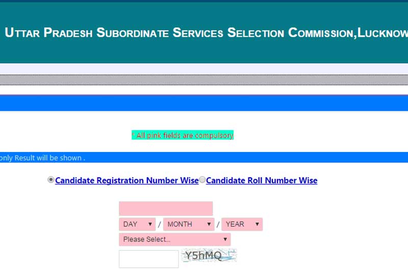 UPSSSC, UPSSSC CMS results, UPSSSC CMS results 2015 UPSSSC exam results, UPSSSC exam results 2015, Combined Medical services, Combined Medical services exam results, upsssc.gov.in, upsssc.gov.in results