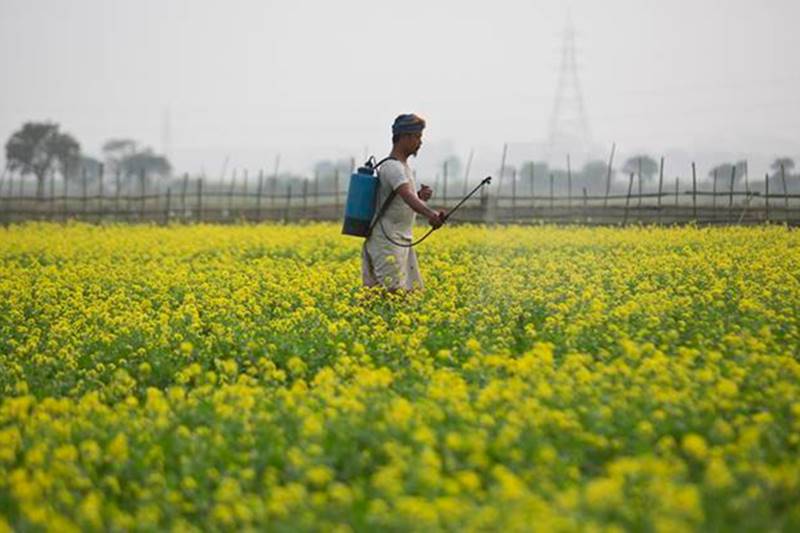 Narendra Modi, farmers income, Narendra Modi farmers income, farmers income strategy, modi strategy farmers income, farmers india
