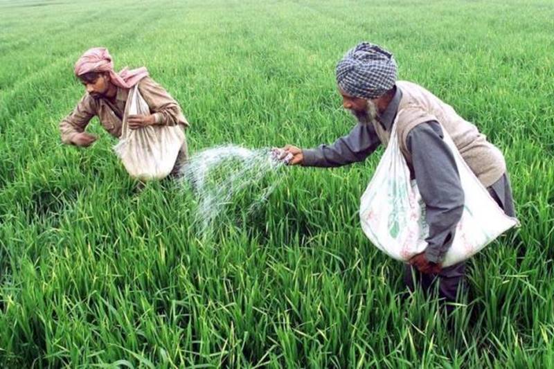 subsidy, food subsidy, fertiliser subsidy, lpg subsidy, budget subsidy allocation, arun jaitley, jaitley food subsidy