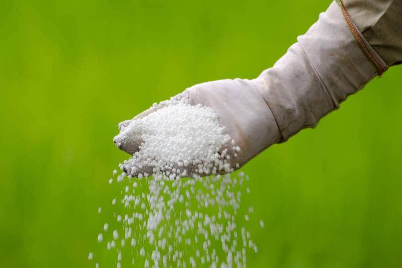 subsidy, food subsidy, fertiliser subsidy, lpg subsidy, budget subsidy allocation, arun jaitley, jaitley food subsidy