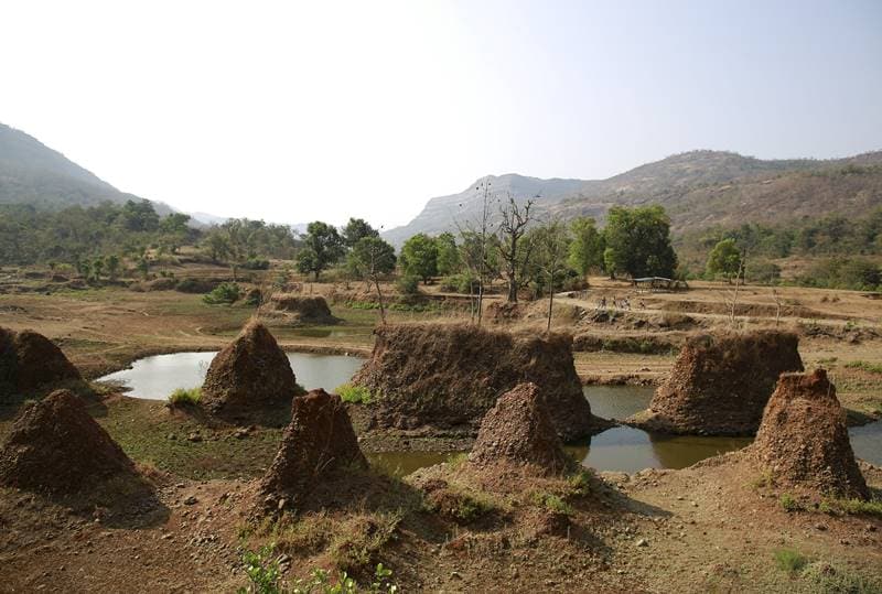 agriculture, india farming issues, india agriculture, agriculture in india, narendra modi farmers, farmers icnome, budget farmers, Budget, budget 2016, budget news, budget news 2016, 2016 Fiscal budget, Fiscal year 2016 budget, fy 2016 budget status, 2016 Fiscal budget status, fiscal 2016 budget request, Fiscal budget 2016, fiscal 2016 budget resolution