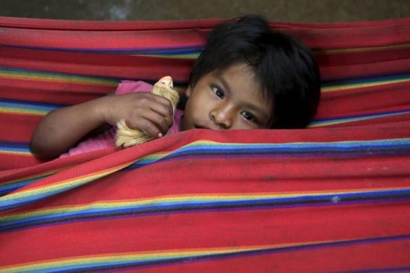 colombia, colombian war, colombian war of independence, colombian war history, unicef, united nations, colombian children, children of war