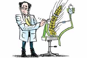 The process of revitalising agriculture has begun. Now we must take action in a way that yields measurable outcomes and creates a virtuous cycle of demand, growth and prosperity