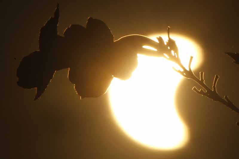 solar eclipse, solar eclipse today, solar eclipse in india 2016 timings, solar eclipse today, solar eclipse in india, solar eclipse 2016, partial eclipse, partial eclipse in india, science india