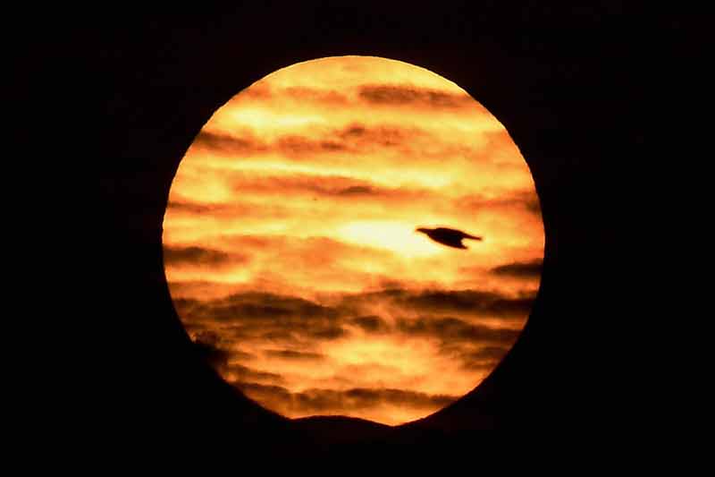 solar eclipse, solar eclipse today, solar eclipse in india 2016 timings, solar eclipse today, solar eclipse in india, solar eclipse 2016, partial eclipse, partial eclipse in india, science india