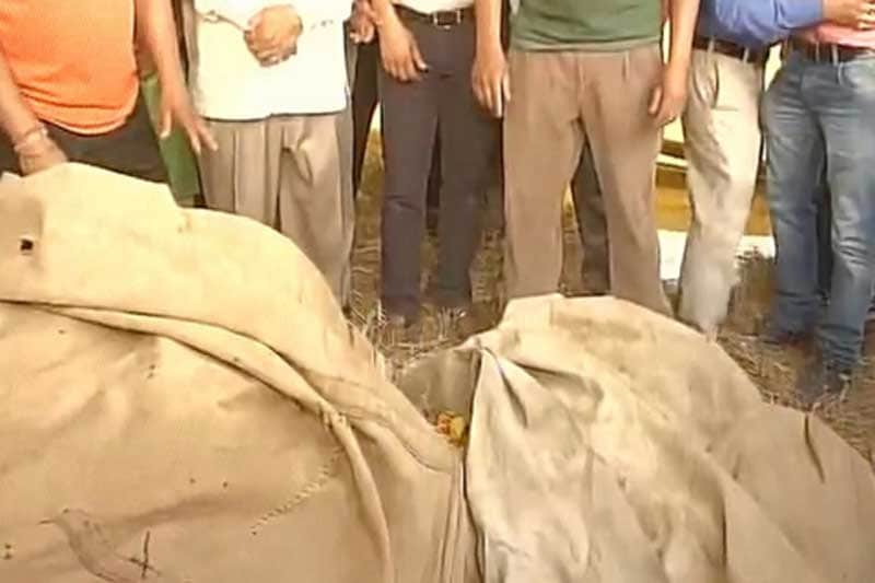 shaktimaan, shaktiman, shaktimaan horse, shaktimaan horse death, shaktimaan horse condition, shaktimaan horse injury, shaktimaan horse dead, shaktimaan horse passes away