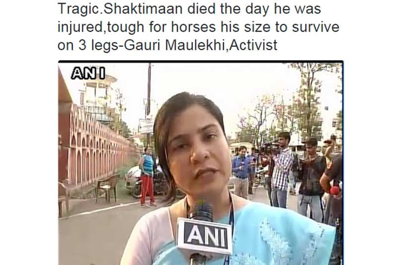 shaktimaan, shaktiman, shaktimaan horse, shaktimaan horse death, shaktimaan horse condition, shaktimaan horse injury, shaktimaan horse dead, shaktimaan horse passes away