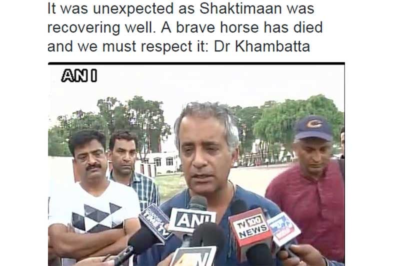 shaktimaan, shaktiman, shaktimaan horse, shaktimaan horse death, shaktimaan horse condition, shaktimaan horse injury, shaktimaan horse dead, shaktimaan horse passes away
