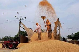 Food Corporation of India, Food Corporation of India News, National Food Security Act