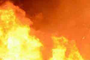 Biomax Fuels Ltd has a manufacturing capacity of five lakh tonnes of bio-diesel from multi-feedstock at VSEZ. There are about 15 storage tanks and the blaze spread to the 11 of them. Biomax Fuels Ltd has a manufacturing capacity of five lakh tonnes of bio-diesel from multi-feedstock at VSEZ. There are about 15 storage tanks and the blaze spread to the 11 of them.