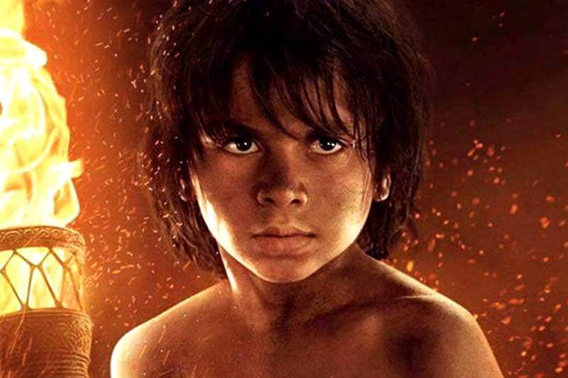 The Jungle Book, angry birds, angry bird movie, angry bird box office collection, Captain America, Neighbors 2: Sorority Rising, The Nice Guys, Money Monster,The Darkness, Zootopia, The Huntsman: Winter's War, Mother's Day