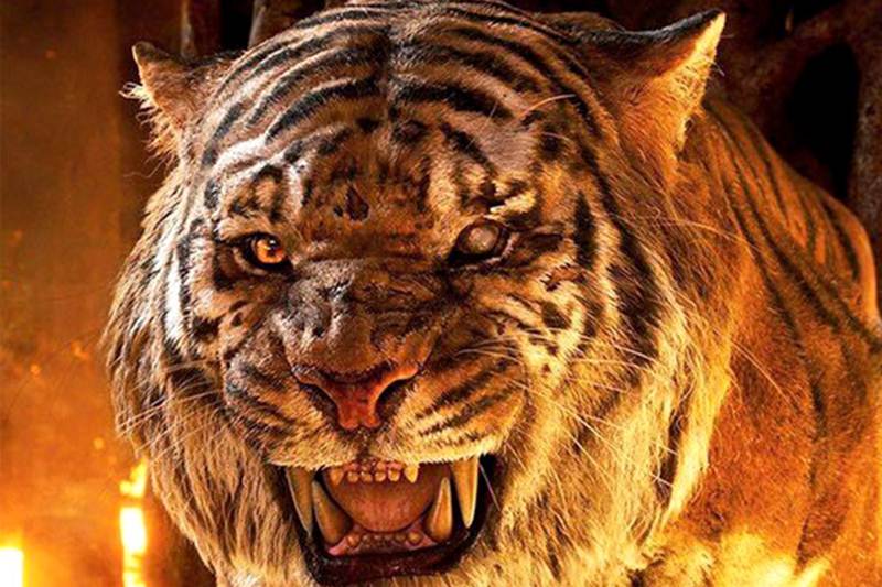 The Jungle Book Box Office Collections, jungle book collections india, jungle book collections, The Jungle Book Opening day collections, The Jungle Book Movie Collections, The Jungle Book Friday Collections, The Jungle Book earnings, The Jungle Book Grossings, Priyanka Chorpa, The Jungle Book, Irrfan Khan, Nana Patekar, Om Puri, Shefali Shah, Entertainment news