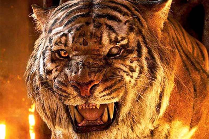 The Jungle Book, The Jungle Book box office collections, The Jungle Book collection, The Jungle Book earning, The Jungle Book movie, The Jungle Book movie earning, The Jungle Book movie box office collections