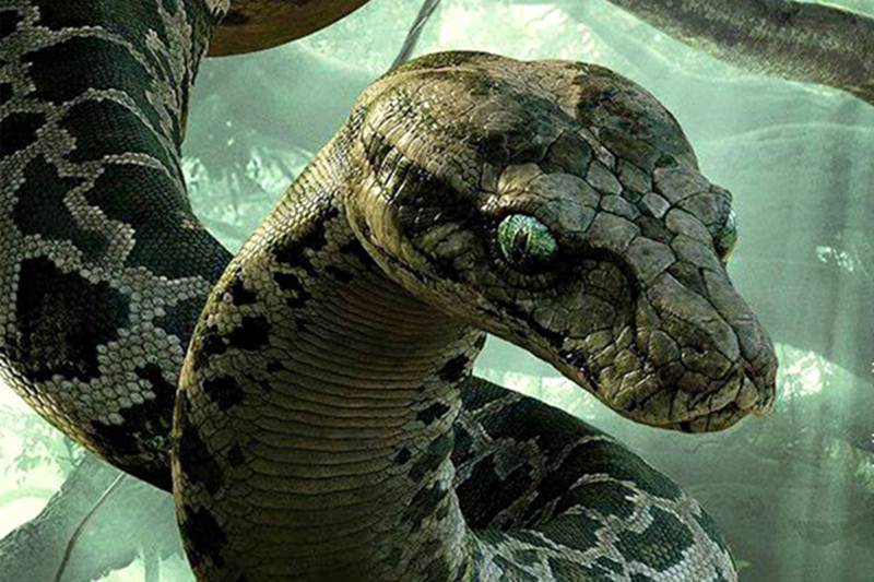 The Jungle Book Box Office Collections, jungle book collections india, jungle book collections, The Jungle Book Opening day collections, The Jungle Book Movie Collections, The Jungle Book Friday Collections, The Jungle Book earnings, The Jungle Book Grossings, Priyanka Chorpa, The Jungle Book, Irrfan Khan, Nana Patekar, Om Puri, Shefali Shah, Entertainment news
