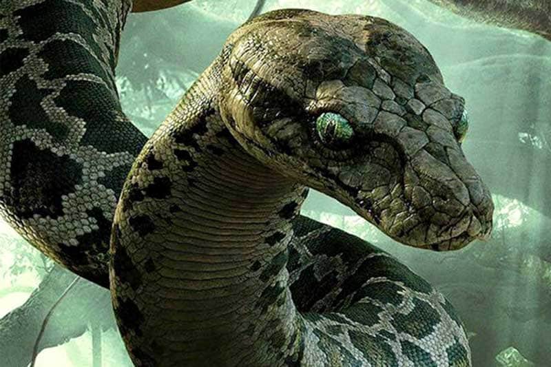 The Jungle Book, The Jungle Book box office collections, The Jungle Book collection, The Jungle Book earning, The Jungle Book movie, The Jungle Book movie earning, The Jungle Book movie box office collections