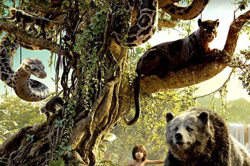 The Jungle Book Box Office Collections, jungle book collections india, jungle book collections, The Jungle Book Opening day collections, The Jungle Book Movie Collections, The Jungle Book Friday Collections, The Jungle Book earnings, The Jungle Book Grossings, Priyanka Chorpa, The Jungle Book, Irrfan Khan, Nana Patekar, Om Puri, Shefali Shah, Entertainment news
