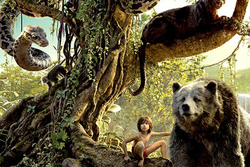 The Jungle Book, The Jungle Book box office collections, The Jungle Book collection, The Jungle Book earning, The Jungle Book movie, The Jungle Book movie earning, The Jungle Book movie box office collections