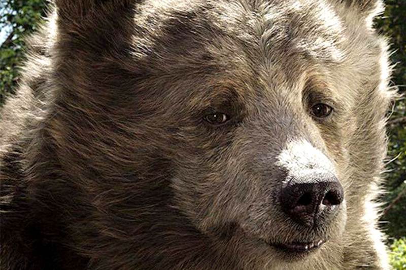 The Jungle Book Box Office Collections, jungle book collections india, jungle book collections, The Jungle Book Opening day collections, The Jungle Book Movie Collections, The Jungle Book Friday Collections, The Jungle Book earnings, The Jungle Book Grossings, Priyanka Chorpa, The Jungle Book, Irrfan Khan, Nana Patekar, Om Puri, Shefali Shah, Entertainment news