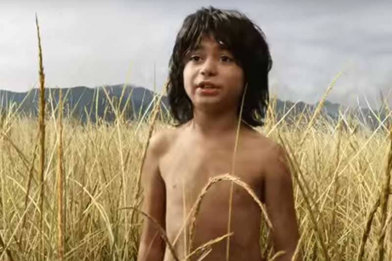 The Jungle Book, The Jungle Book box office collections, The Jungle Book collection, The Jungle Book earning, The Jungle Book movie, The Jungle Book movie earning, The Jungle Book movie box office collections