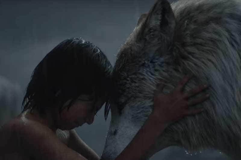 The Jungle Book, The Jungle Book box office collections, The Jungle Book collection, The Jungle Book earning, The Jungle Book movie, The Jungle Book movie earning, The Jungle Book movie box office collections