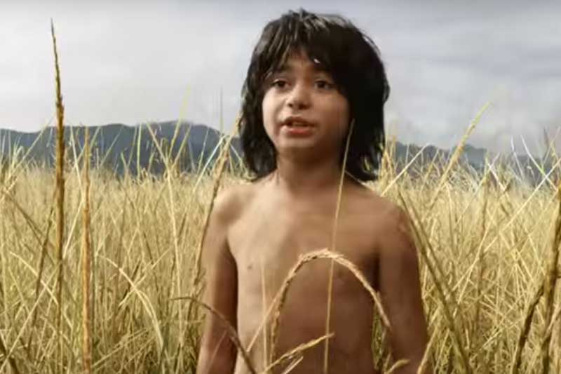 The Jungle Book, The Jungle Book box office collections, The Jungle Book collection, The Jungle Book earning, The Jungle Book movie, The Jungle Book movie earning, The Jungle Book movie box office collections