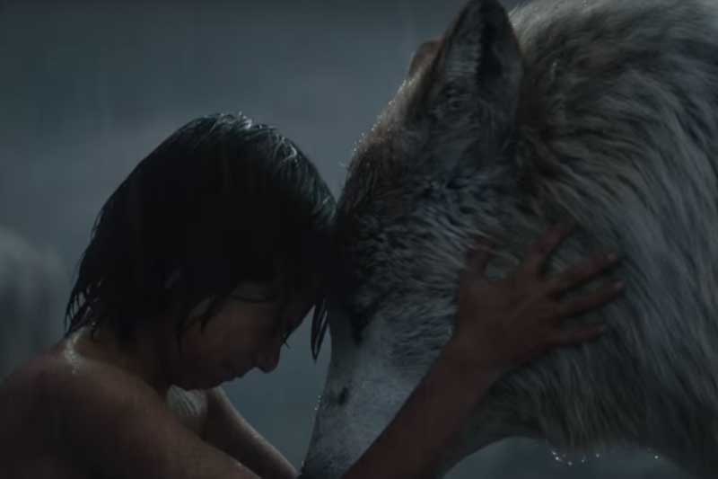 The Jungle Book, The Jungle Book box office collections, The Jungle Book collection, The Jungle Book earning, The Jungle Book movie, The Jungle Book movie earning, The Jungle Book movie box office collections