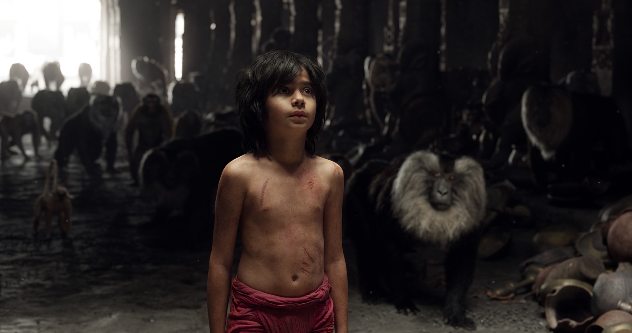 The Jungle Book, The Jungle Book box office collections, The Jungle Book collection, The Jungle Book earning, The Jungle Book movie, The Jungle Book movie earning, The Jungle Book movie box office collections