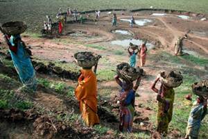 55 percent of the total beneficiaries were women, a large quantum of whom is from scheduled caste, scheduled tribes and other vulnerable sections, the report states. (PTI) 55 percent of the total beneficiaries were women, a large quantum of whom is from scheduled caste, scheduled tribes and other vulnerable sections, the report states. (PTI)