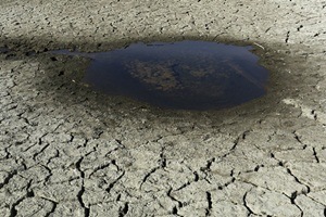 drought in maharashtra