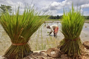 Narendra Modi’s big National Agricultural Market initiative: How to make it work
