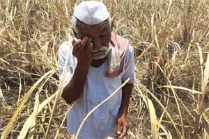 maharashtra drought