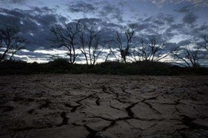 Indian Meteorological Department has forecast 2016 monsoon rainfall to be 106 per cent of long term average assigning 94 per cent probability to normal or above rainfall. (Reuters)