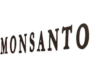 Monsanto currently has a market capitalisation of $42 billion. It didn't disclose terms of the approach, but an acquisition would likely be bigger in value than a deal struck by ChemChina. (Source: IE)