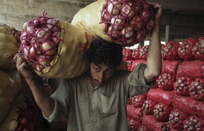 onion prices, onion price in india, onion price per kg, onion price today, onion Wholesale prices, onion wholesale prices, onion harvest, Neemuch, Madhya Pradesh, neemuch mandi