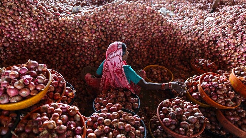 onion prices, onion price in india, onion price per kg, onion price today, onion Wholesale prices, onion wholesale prices, onion harvest, Neemuch, Madhya Pradesh, neemuch mandi