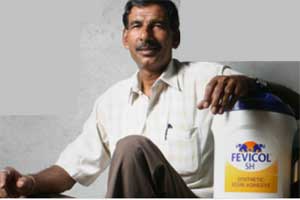 pidilite Industries pidilite Industries