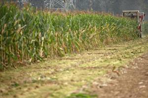 Indian Meteorological Department, kharif crops, IMD, drought